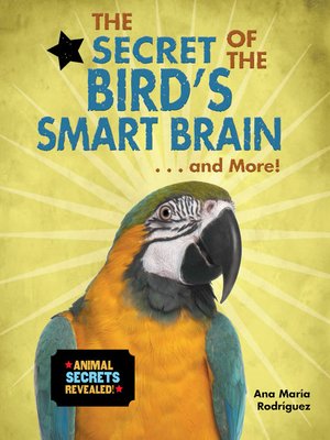 cover image of The Secret of the Bird's Smart Brain... and More!